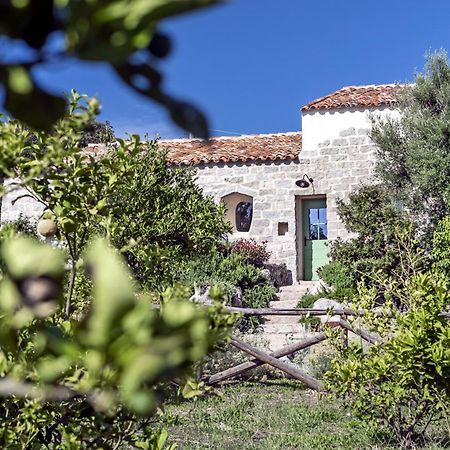 Gallicantu Stazzo Retreat Luogosanto Exteriér fotografie