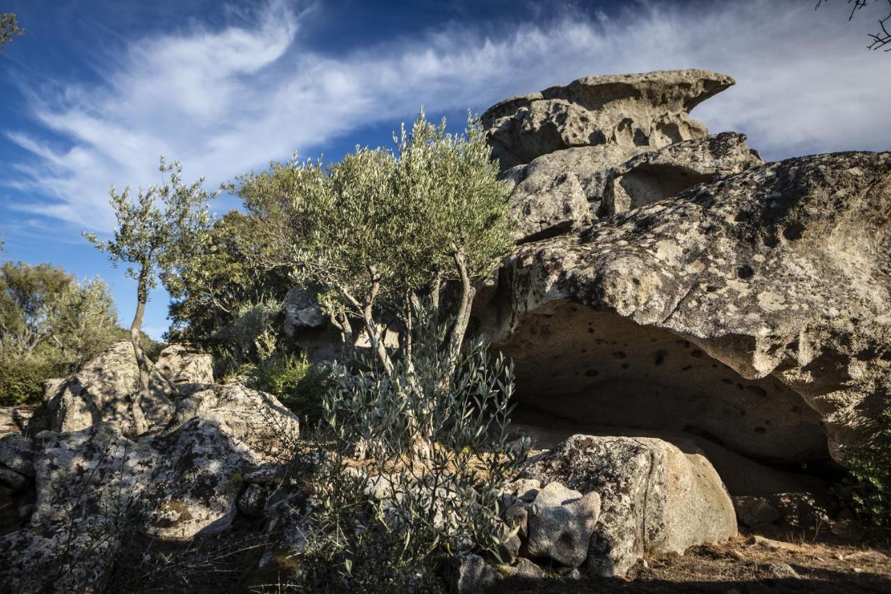 Gallicantu Stazzo Retreat Luogosanto Exteriér fotografie