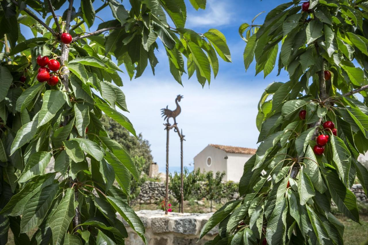 Gallicantu Stazzo Retreat Luogosanto Exteriér fotografie